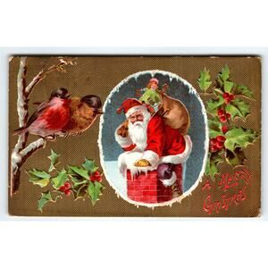 Vintage 1909 Embossed Santa Claus Christmas Postcard with Birds Antique